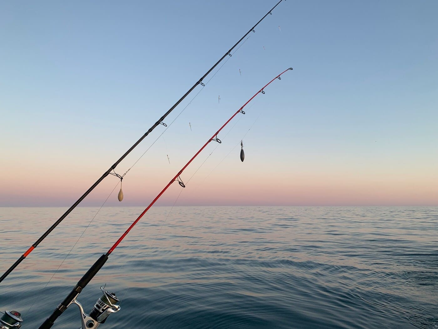 Big Game Fishing